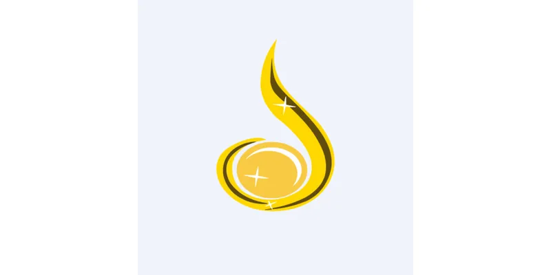 Financial and Business Analysis of Darshan Orna Limited